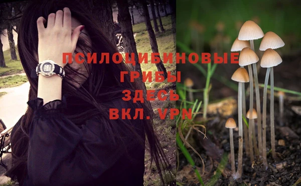 дурь Абинск