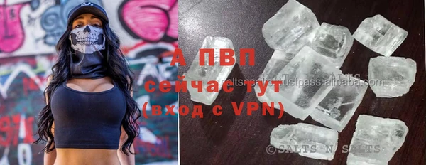 твердый Абаза