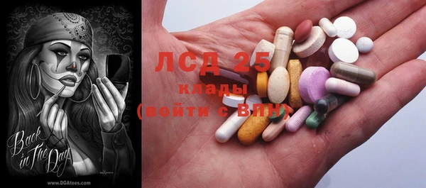 твердый Абаза